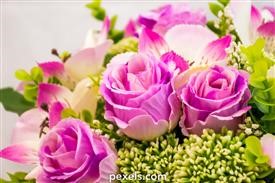 &quot;Edelweiss Flower Delivery Service Russia